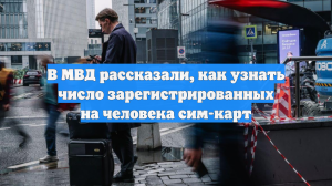 В МВД рассказали, как узнать число зарегистрированных на человека сим-карт