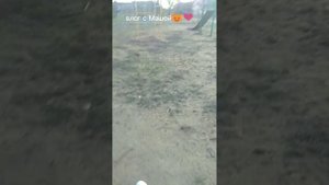 снова влог с сестрой😻❤😹😹😹/влог с сестрой и клубничкой😻😺😸😹/досмотр до конца 🙏🙏🙏🥺🥺🥺