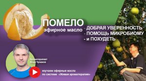 Помело эфирное масло - свойства и применение
