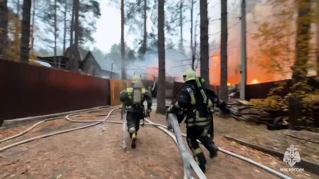 Пожарные не допустили распространения огня на соседние дома и лес в СНТ #БудниМЧС смотреть онлайн