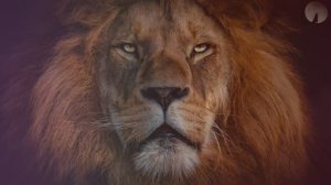 Самый красивый нашид 7 🟢