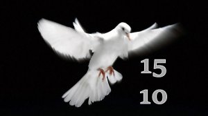 15.10.2025 - Прямая трансляция ст.Елизаветинская