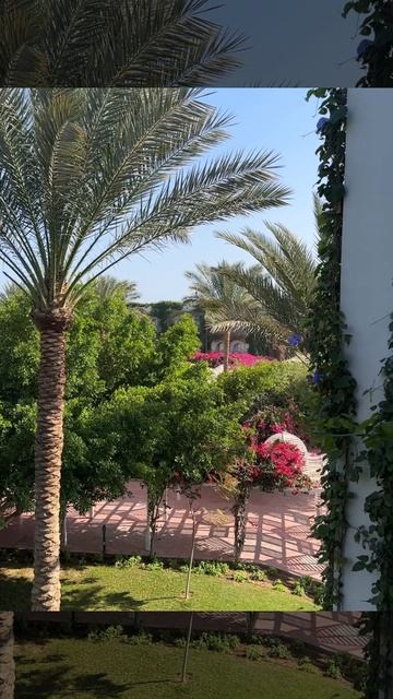 СЖИ-223 Игнатова К.А «Moments de voyage”