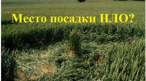 НЛО. Место посадки? Ист-Кеннет, Уилтшир. 10.07.1994г.! 10