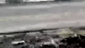 В центре Курильска был замечен крупный медведь