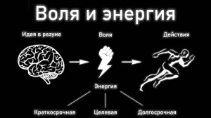 Воля и энергия в саморазвитии. Глава 32. Введение в автоэволюционику