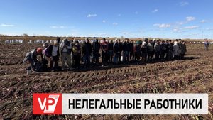 ПОЛИЦЕЙСКИЕ ПОД ВОЛГОГРАДОМ ОБНАРУЖИЛИ 36 НЕЛЕГАЛЬНЫХ ИНОСТРАННЫХ РАБОТНИКОВ