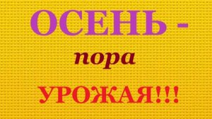 «Осень - пора урожая!»  Alvin (Brat Bruder.)