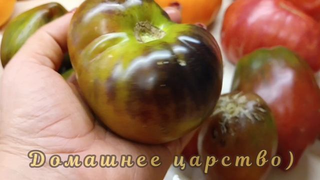 ТОМАТЫ! Эти сорта плодоносят до снега!