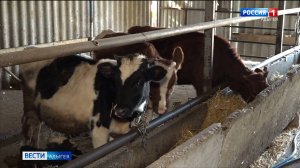 Всё больше жителей республики выбирают фермерский труд и создают собственные хозяйства