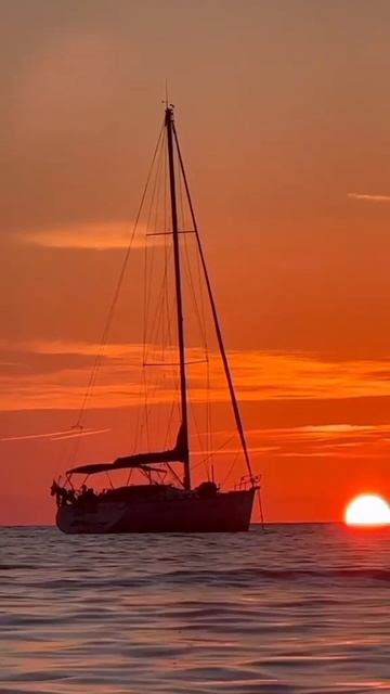 #katyborо #видеооткрытка #видео #shortvideo #video #shorts #aishorts