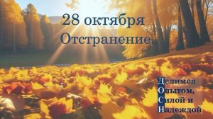28 октября. Отстранение.