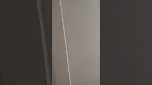 Стрим в школе