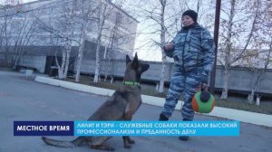 Надымские кинологи в составе сборной Ямала вошли в тройку сильнейших на чемпионате МВД России