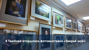 В Тамбове открылась фотовыставка «Зверьё моё»