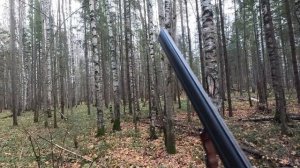 Открытие сезона на зайца беляка.2025-2026