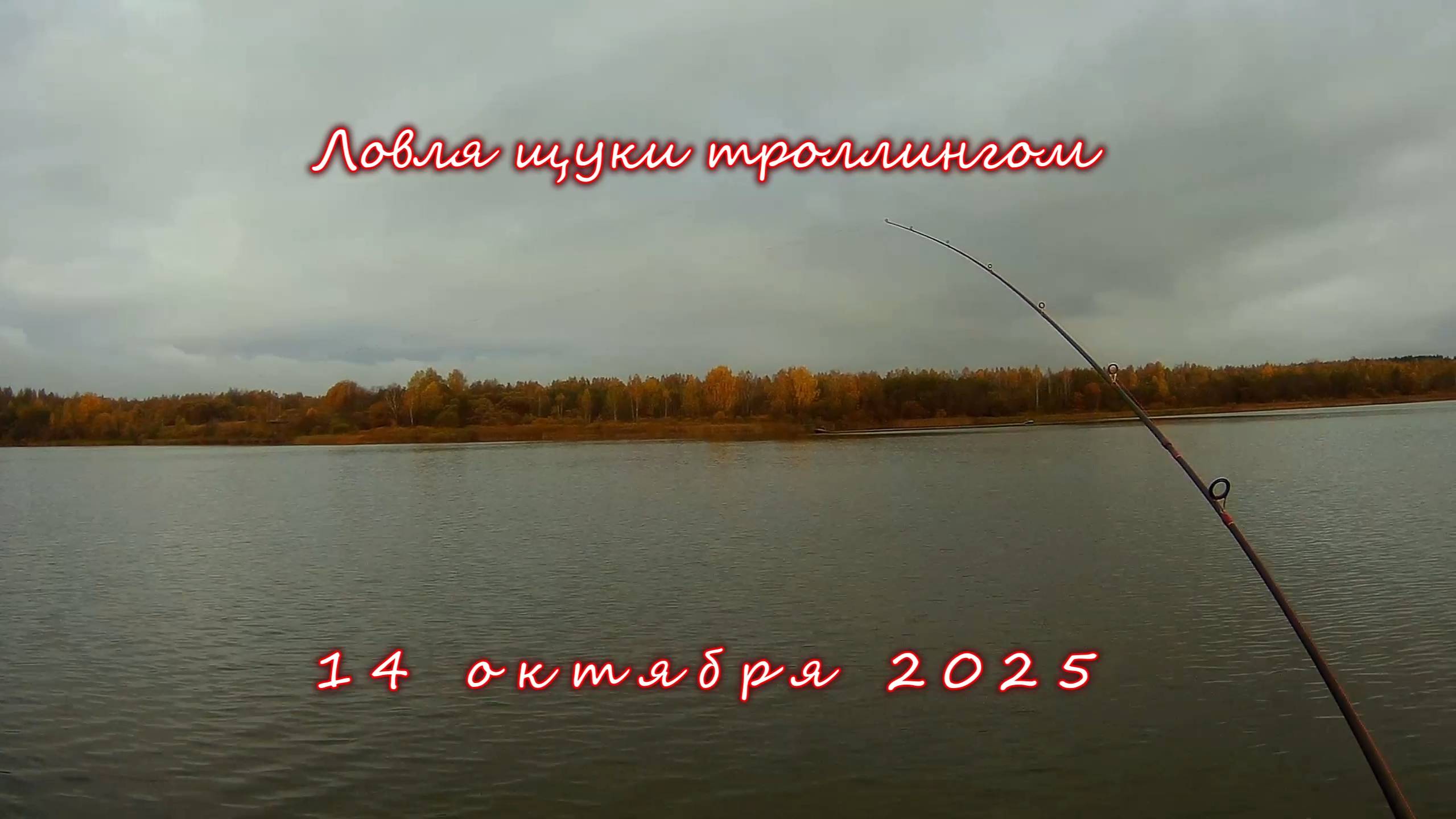 Ловля щуки троллингом 14 октября 2025