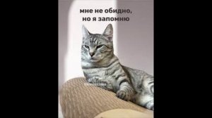 Разговоры с коллекторами 99