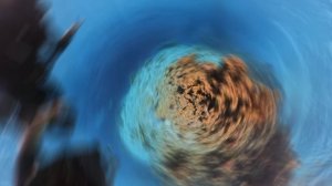 Дайвинг шарм эль шейх р.  Клоун