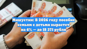 Мишустин: В 2026 году пособие семьям с детьми вырастет на 6% — до 18 371 рубля