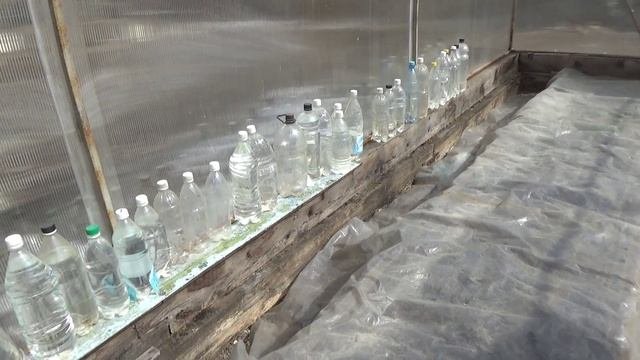 2107.   Готовим гряды для подзимнего сева. Результаты Весной.