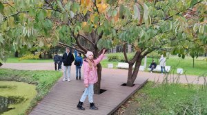 Приморский Парк Победы, город Санкт-Петербург