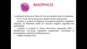 La pathologie du sang blanc (1)