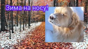 Приглашение в СП "Зима на носу"
