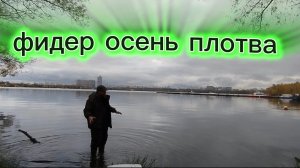 ФИДЕР ОСЕНЬ ПЛОТВА РЫБАЛКА ОКТЯБРЬ 2025