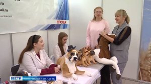 Форум «День карьеры молодёжи» проходит в Вологде