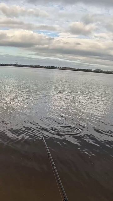 Окунь на Джиг! Рыбалка на большой реке! Рыбалка в архангельской области!