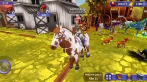 Новая лошадь:)