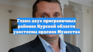 Главы двух приграничных районов Курской области удостоены орденов Мужества