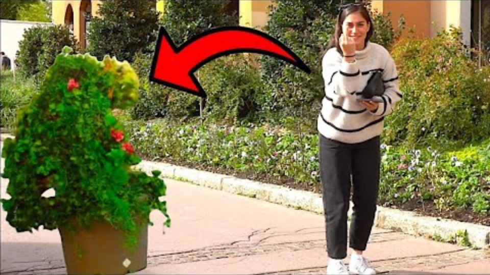 BUSHMAN PRANK (Chuckle Challenge) Amazingly hilarious#comedy смотреть онлайн