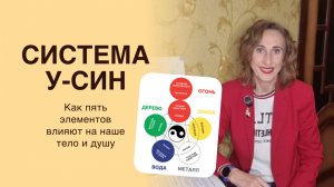 Система У-СИН: что это такое, 5 элементов