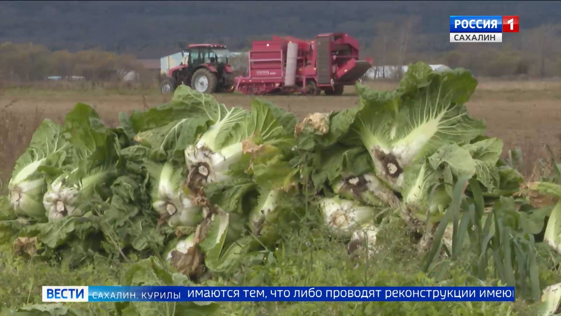 "Вести. Сахалин. Курилы". 14 октября 2025 года смотреть онлайн