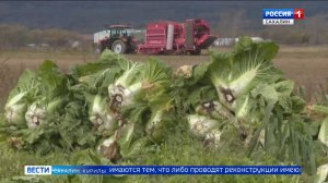 "Вести. Сахалин. Курилы". 14 октября 2025 года