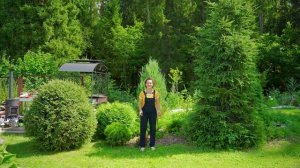 Сад мечты. Выпуск 33