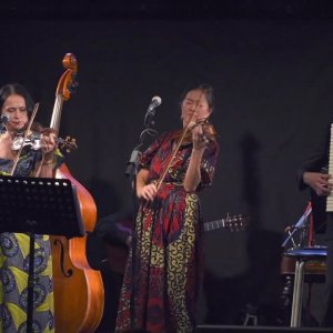 Фрагменты музыкальных номеров Ансамбля "ФЫНЯФ"