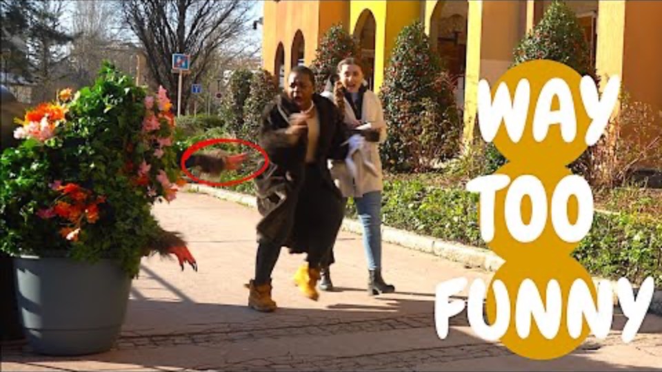 Scare prank, Sunny afternoon day screaming bushman смотреть онлайн