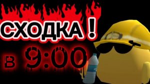 !_-СХОДКА-_!
