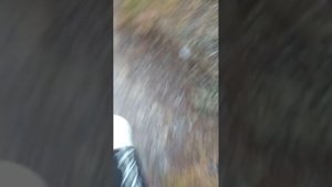 влог с Русланом идем в магазин(1 часть)