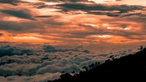 привет мой сын❤️