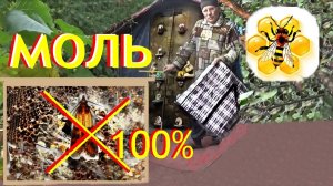 Пчелы