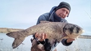 РЫБАЛКА НА ЩУКУ! ЗАЦЕПИЛ ТОЛСТОЛОБА!