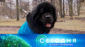 «Сегодня в Санкт-Петербурге»: 15 октября 2025 года