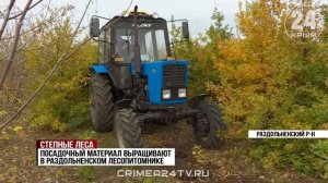 Лесные массивы и полезащитные полосы восстанавливают в Крыму
