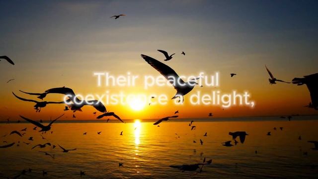 Pomorie смотреть онлайн