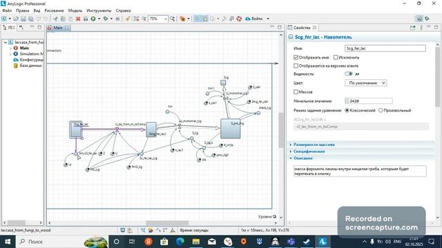 школьный проект сеченова мат модель гриба занятие 2