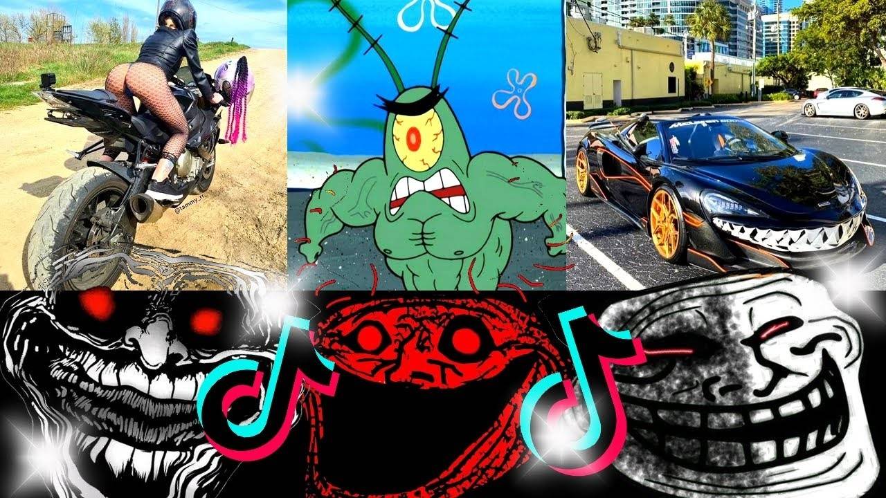 🥶 COLDEST TROLLFACE — Phonk Edition | Самые холодные мем-моменты (TikTok edits) #Phonk #Trollface смотреть онлайн